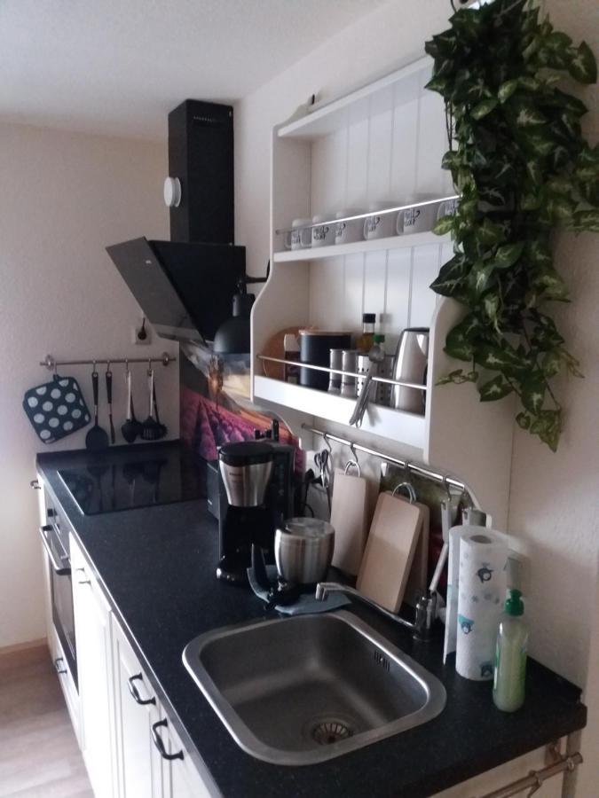 Ferienwohnung auf dem Land Dittersbach Exterior foto